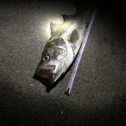 流れが効き出したら