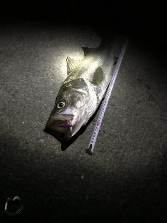 流れが効き出したら