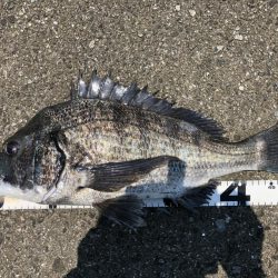 イチノ兄弟、釣果！