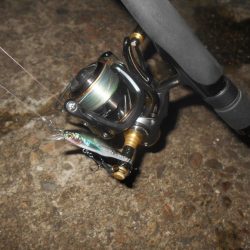 ウィードだらけ…