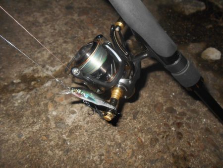 ウィードだらけ…