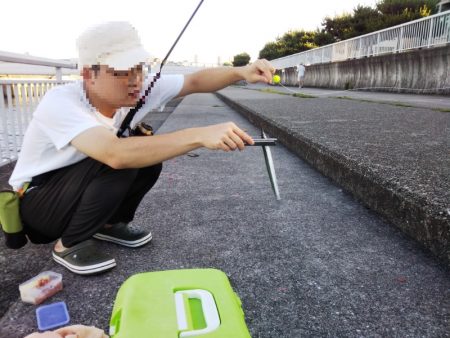 サヨリ回遊少なし！