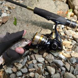 初めての渓流ルアー