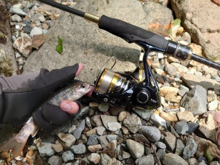 初めての渓流ルアー