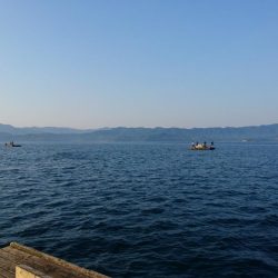 筏ショアジギング