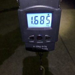 数は釣れないけどキロアップ