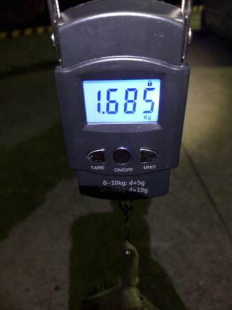 数は釣れないけどキロアップ