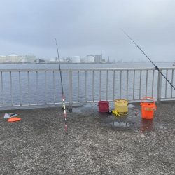 千葉港大潮の土曜日は朝から混んでた