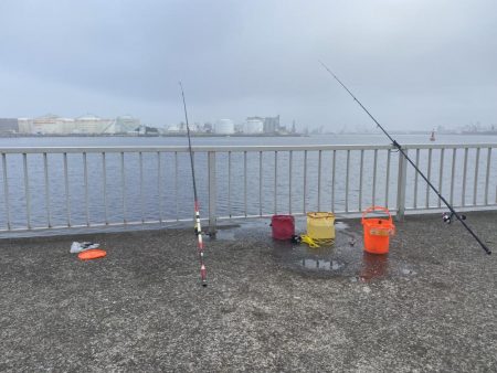 千葉港大潮の土曜日は朝から混んでた
