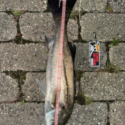 ゴールデンタイム✨