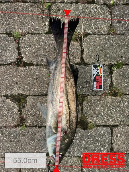 ゴールデンタイム✨