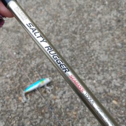 ニゴイでした　残念