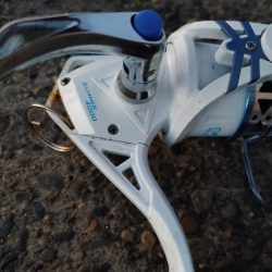 シーバス　スレでした