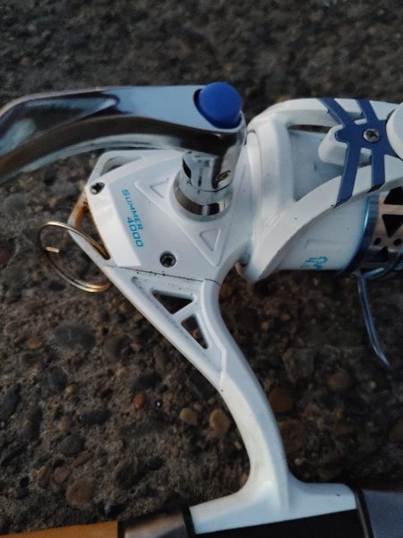 シーバス　スレでした