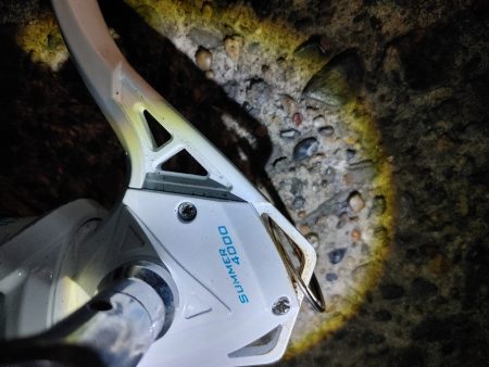 久しぶりのヒラメです