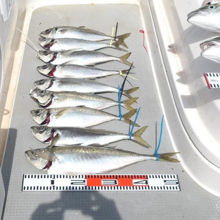 SOUTH(サウス)釣果