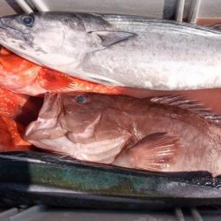 康仁丸・ジギング釣り果