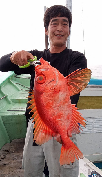 康仁丸・ジギング釣り果