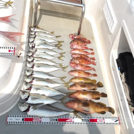 SOUTH チャーター便5名様釣果