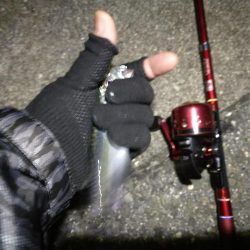 2021/07/17 南港アジング