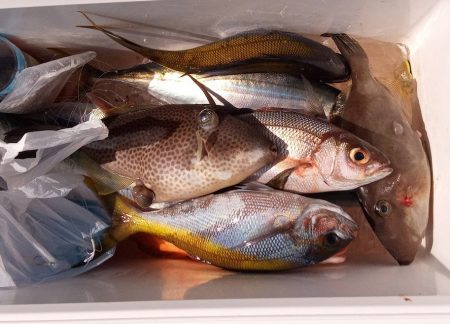 康仁丸・泳がせ釣り、釣り果