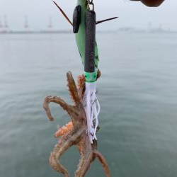 雨で少しは変わると思いきや