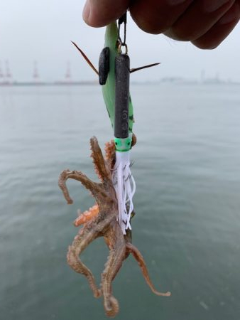 雨で少しは変わると思いきや