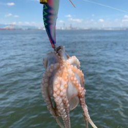 渋い?渋くない?どっち?