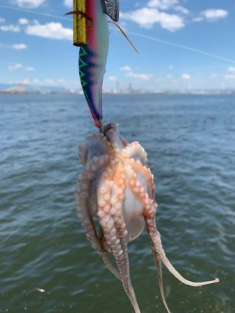 渋い?渋くない?どっち?