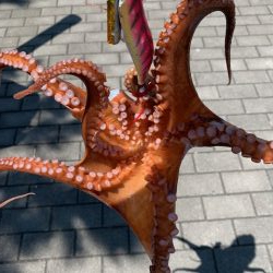 500gが2杯、400gが3杯、計23杯