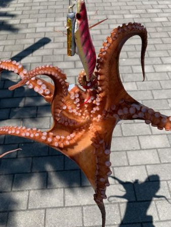 500gが2杯、400gが3杯、計23杯