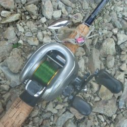 梅雨明け？バス