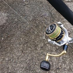 約9ヶ月ぶりに!