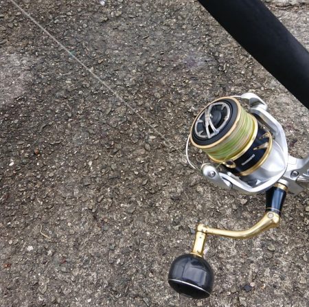 約9ヶ月ぶりに!