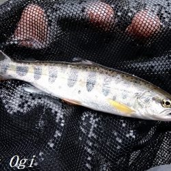 引原川本流にはロマンがある