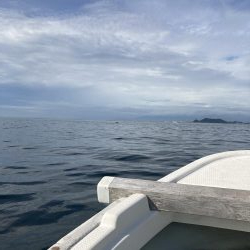 鳴門沖でマダイ