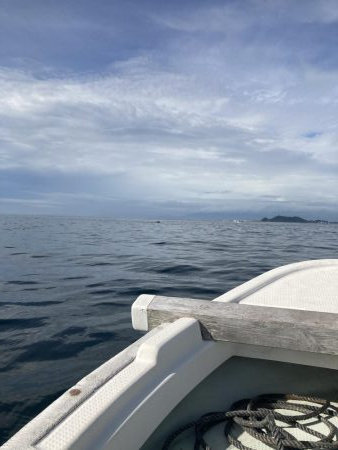 鳴門沖でマダイ