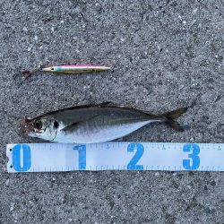 ショアジギング