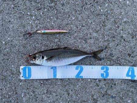 ショアジギング