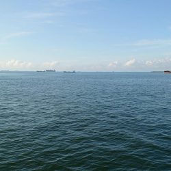 カッサーの無限ループ