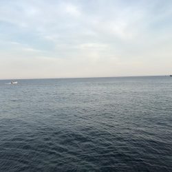 ギガアジねらい