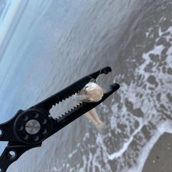 梅雨明け後の…