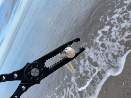 梅雨明け後の…