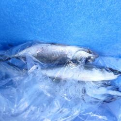 尺には届かない