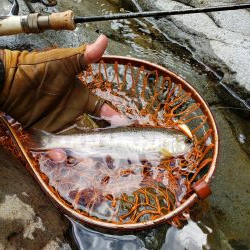 荒れ過ぎた様です( ノД`)…