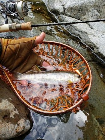 荒れ過ぎた様です( ノД`)…