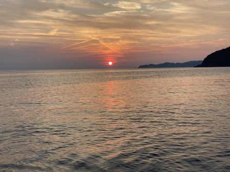 夏のアオリイカ！