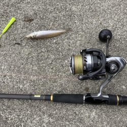 ちょい投げキス釣り