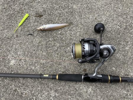 ちょい投げキス釣り