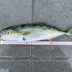 和歌山マリーナシティ大波止